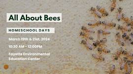 3/21 Homeschool Days- All About Bees