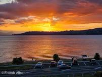 Lake Taupo Canopy Course 11-12-13 May