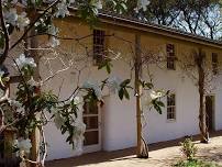 Castro Adobe: Open House