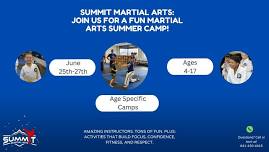 Taekwondo Summer Camp