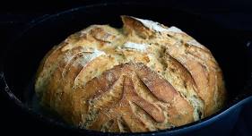 Sourdough for Beginners - Mini Camp Series