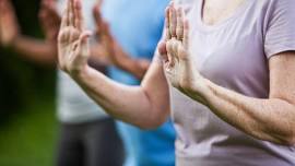 QiGong Classes in Person and Zoom