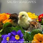 Mosaic Chicks Hatch — Flower Feather Farm: Chicks & Dahlias