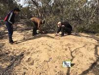 Victorian Malleefowl Recovery Group Reporting Back Weekend 18-19 May 2024