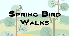 Early Avian Migrant Birding Walk