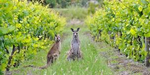 Tanunda Craft Fair Three Day Winter Event