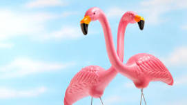 Pink Flamingo Weekend