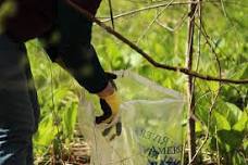 Clean Up & Collaboration on the Clinton With Rep. Mentzer — Clinton River Watershed Council