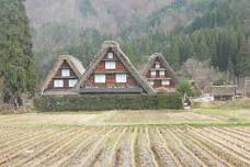 1-Day Shirakawago & Takayama Tour (Round Trip from Kanazawa)