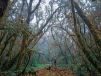 Mt. Kalawitan Day Hike | Bontoc Trail