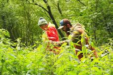 Forage and Cook - Wiltshire