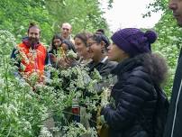 Forage and Cook - Leicestershire