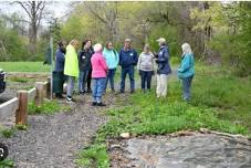 Invasive Plants in Connecticut