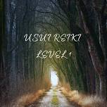 Usui Reiki Level 1