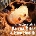 Beekeeping Class - Varroa Mites & Hive Health — Masterson's Garden Center, Inc.