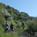 Hike With Hart