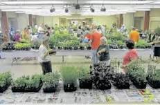 Green Thumb Plant Sale