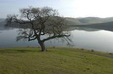 Winter's Transformations in the Oak Savanna