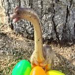 Dino Egg Hunt