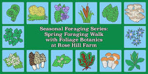 Spring Foraging Walk at Rose Hill Farm with Foliage Botanics