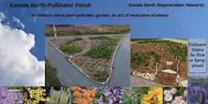 Planting a Pollinator Pathway