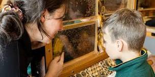 Beechworth Honey Bee School All Ages Session