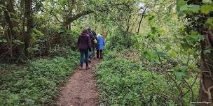 Nature Walk for Wellbeing