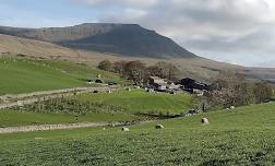 Camping (Yorkshire Dales)