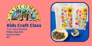 Wildflower Seed Bombs – Kids Craft Class