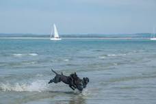 July Water Bark Up - Holkham Beach