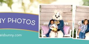 Photos & Visits with The Easter Bunny