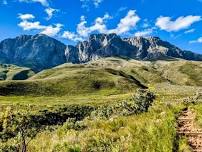 Yellowwood trail to Saaltjie, Jonkershoek MTO, Stellenbosch