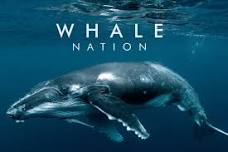 Whale Nation Film Screening — Winter Whale Fest, Victor Harbor