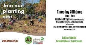 Planet Ark Tree Planting Day