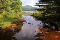 Kids Fly Fishing