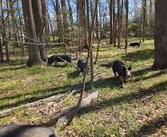 Open Farm Day - Two Farms in One Event!