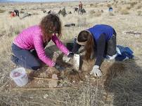 Vegetation Restoration Supplemental Watering