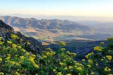 Swartberg: Half Day Swartberg Pass and Private Guided Tour