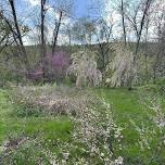 Volunteer Planting Party along Esopus Creek in Town of Ulster