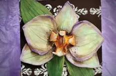 Make a Polymer Clay Orchid Wallflower at ArtWorks DeLand