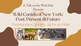 Wild Canids of New York: Past, Present, & Future