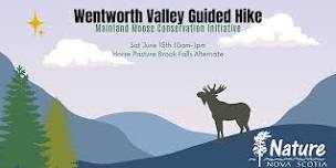 Wentworth Valley Guided hike: Mainland Moose Conservation