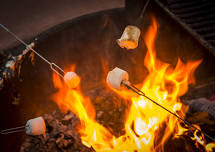 Smores at the Community Fire Pit