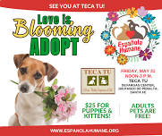 Teca Tu hosts Friday adoption event