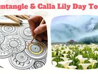 Yangmingshan Zhuzihu Calla Lily Season One Day Trip