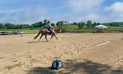 Double Edge Dressage Show