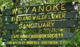 Weyanoke Monthly Nature Walk