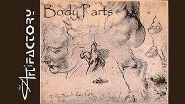 Body Parts