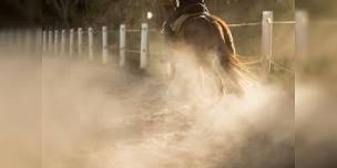 Cedar County Fair Rodeo