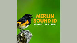 Merlin Sound ID Behind the Scenes